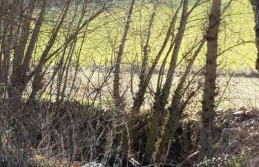 La Cabaña - Foto 36