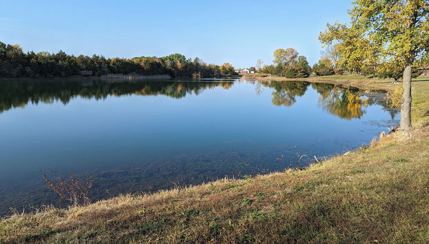 Cannon Dam Cabins - Foto 2, Habitación