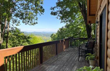 Top of the Line Asheville Mountain Cabin - Foto 64