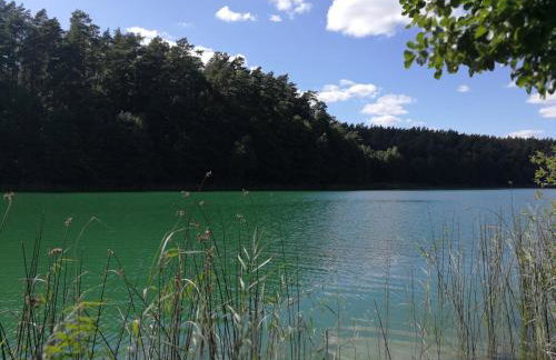 Dom pod strzecha - Foto 24