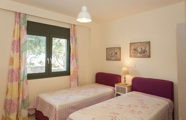 Olive Tree Farm - Foto 13