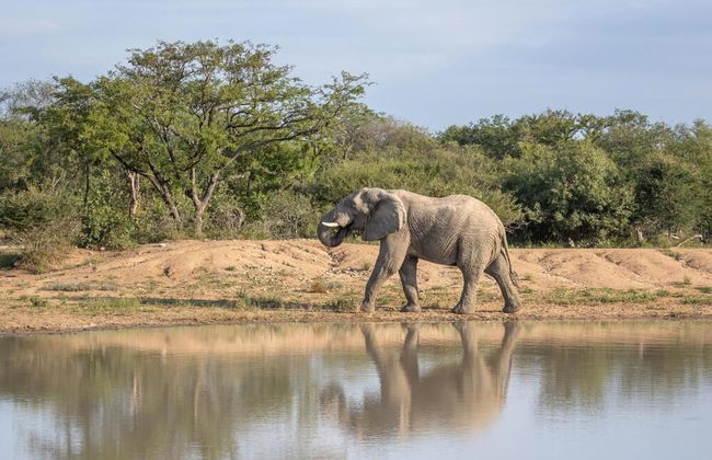 Ukanyi Luxury Villa - Foto 26