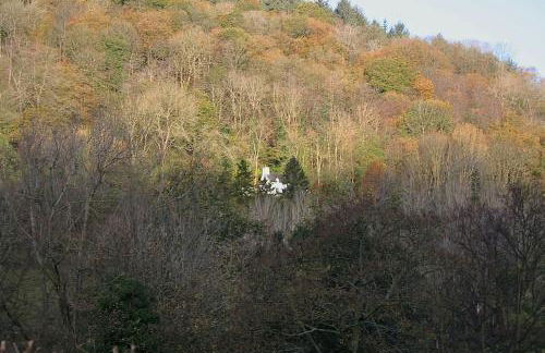 Mellow Mountain Eco Retreat Wales Hot-Tub Sauna - Foto 1