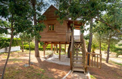 Cortijo señora de las Angustias 1 - Foto 22