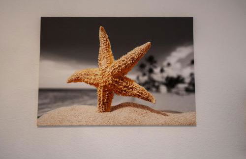 079 Apartment Seestern - Foto 6