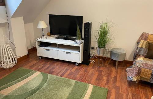 CALMFRANC ático abuhardillado con vistas al río y la montaña Avistamiento de ciervos en Canfranc Pueblo - Foto 9