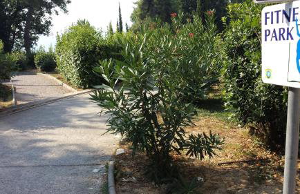 Apartments Paco & Bony - Photo 70