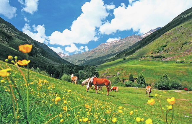 Chalet in Vent Near Stablein Ski Lift - Foto 30