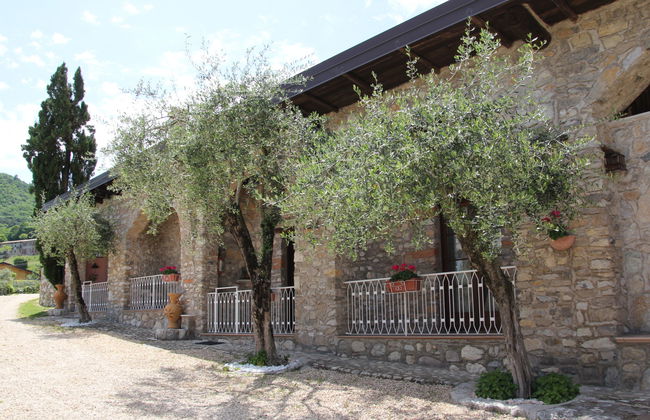 La Tartufaia - Foto 10