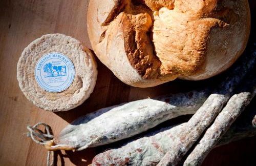 Mas Pinoses - Foto 2