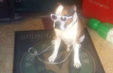 Historic district water viewprivate parking 3 cars - Foto 23