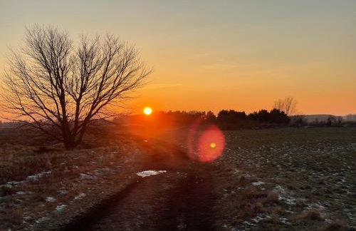 FeWo Renken - Foto 30