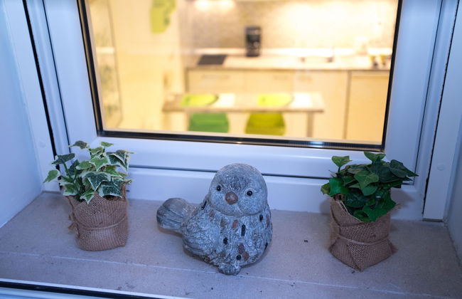 Apartments Nona - Foto 63