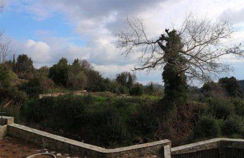 Villa Milea in Milies Pelion - Foto 15