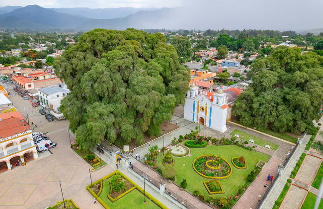 Excursion to Teotitlán del Valle, Mitla & Mezcal Distillery - Photo 8