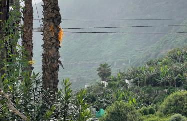 La San Juanita - Foto 50