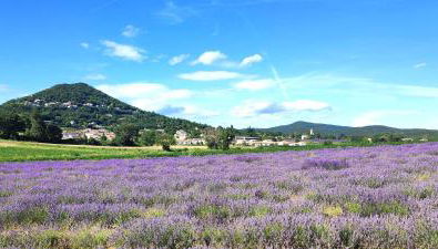 Maison Premium Hyper Calme - Joliment décorée avec vue dégagée - Jacuzzi Chauffé - Salle de jeux - Proche de toutes commodités - Foto 2