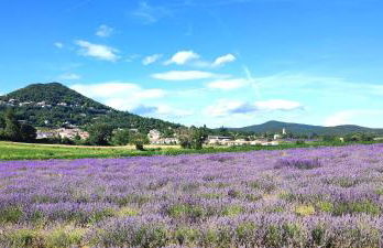 Grande Maison Familiale Premium Super Calme - Piscine - Jacuzzi - Salle de Jeux - Idéalement Située - Gd Jardin Sans aucun vis à vis - Foto 32