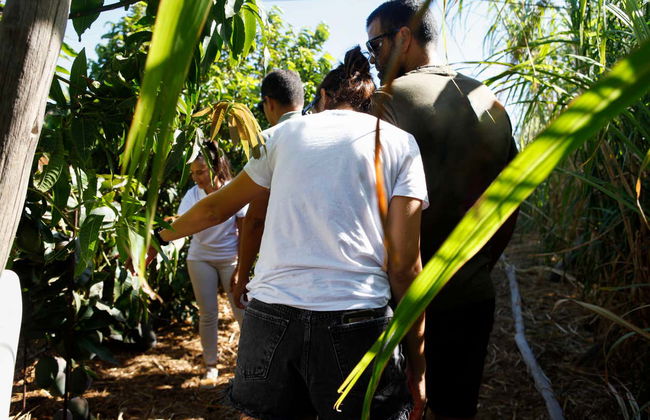 Aloe Vera Farm Tour - Foto 14