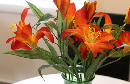 Private Classy 2nd Flr 3 Bed Apt Near Downtown - Foto 30