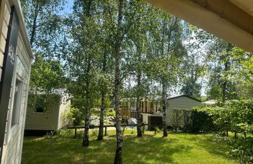 Le Dugny'tique, un endroit fantastique ! - Foto 4