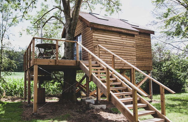 Romantic Woodland Chalet - Photo 1