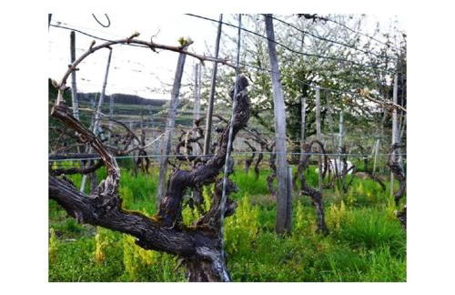 Appealing apartment with terrace - Foto 10