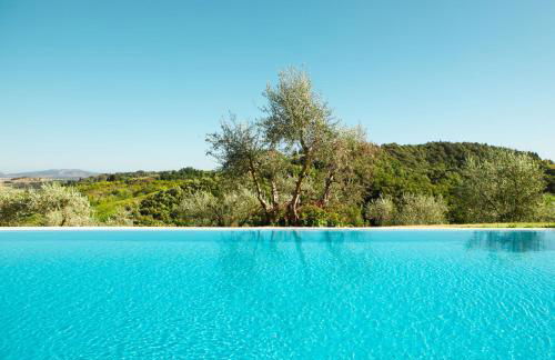 Fattoria Fibbiano - Foto 7