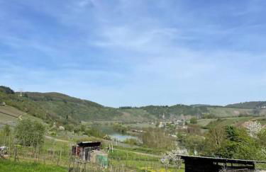 Ferienwohnung Moselsteig - Foto 8