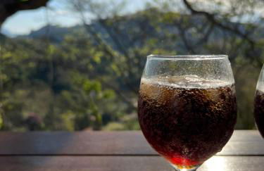 Casa do Alto Santa Mônica- Natureza ao seu redor - Foto 45