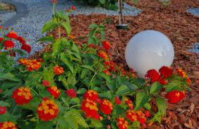 Apartments Mihael and Melani - Foto 15