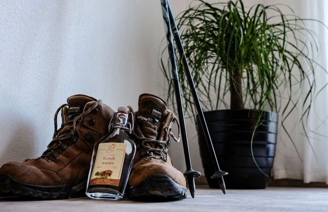 Nice Apartment in Oberkirch - Foto 3