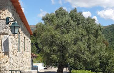 Quinta da Vinha Velha - Foto 34