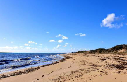 Speroni d'oro - Foto 25