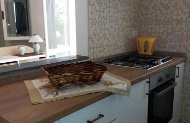 stella marina - Foto 13