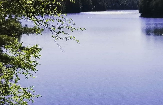 Mattawa River Resort - Foto 70