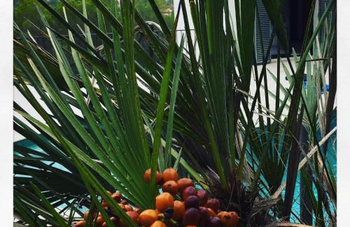 Luxury Sitges Hills Villa - Photo 32