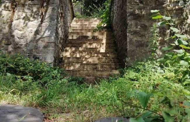 La Belle Vigne - Namur - Foto 35