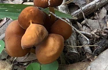 Fishers Of Men Ranch Home - Photo 77