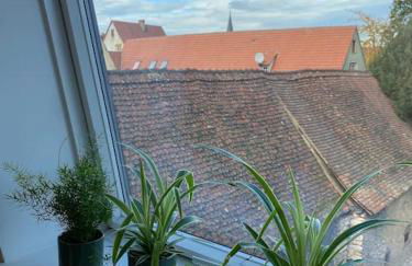 Les Murmures des Toits - Hypercentre - garage privé - Foto 17