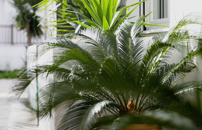 Villa Pearl - Foto 41