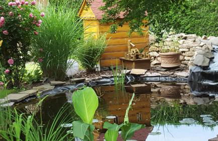 Harzer Auszeit - Foto 16