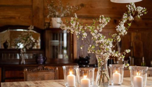 Butterfly Factory - Foto 5