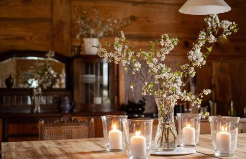 Butterfly Factory - Foto 5