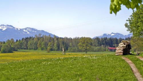 Paulhof am Chiemsee - Photo 5