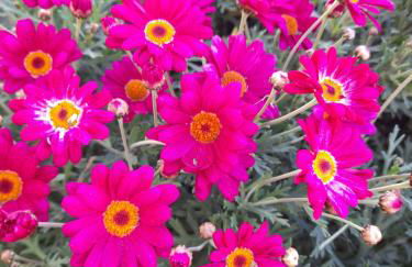 La Casa al Mare - Foto 31