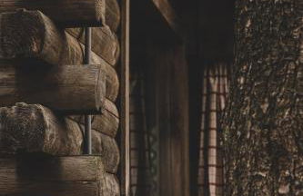 Avenwood Cabins - Foto 1