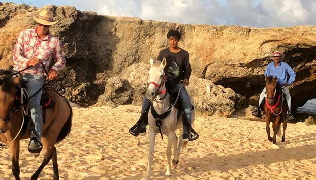 Profitez du circuit équestre