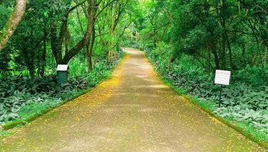 Apart Res Swiss - Jd Europa - Foto 4, Garden