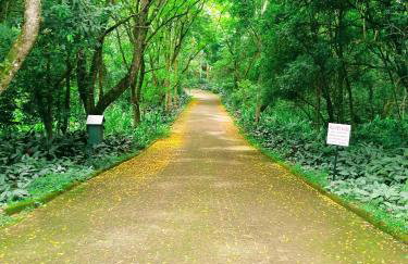 Apart Res Swiss - Jd Europa - Foto 4